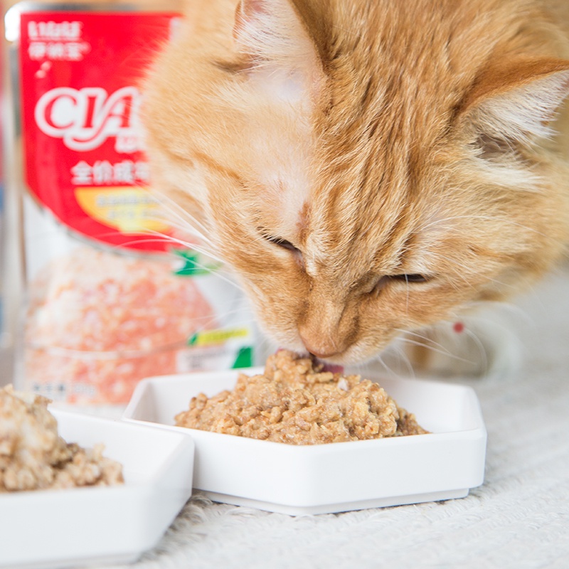 Pate CIAO Thức Ăn Mềm Cho Mèo Nhiều Dinh Dưỡng Pate Nội Địa Trung - Gói Lẻ 60gram