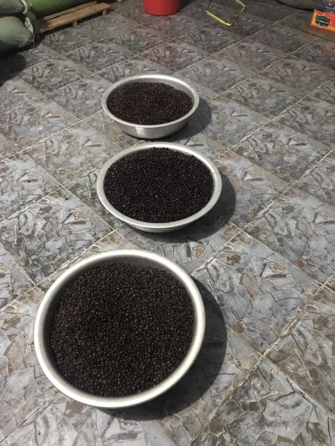 Cafe sạch rang mộc xay sẵn - Dạng hạt - 500gr