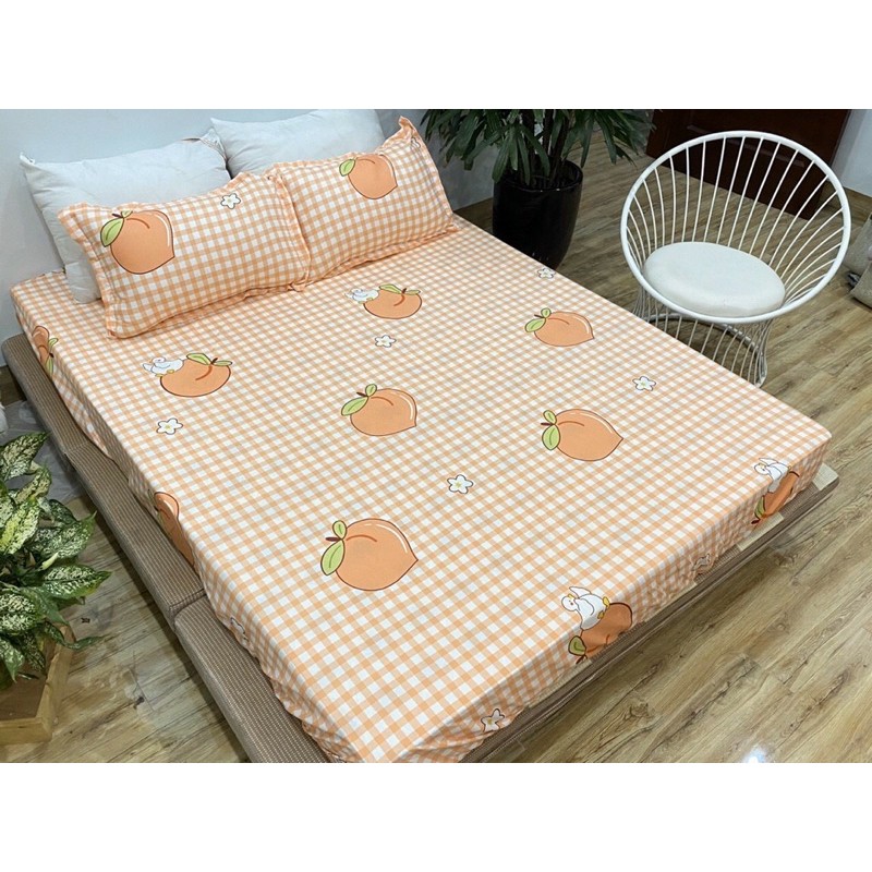 Bộ sét chăn phao 5 món cotton poly Đào kẻ