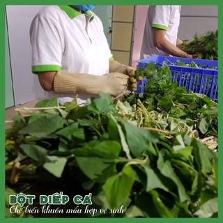 100gr Bột diếp cá nguyên chất