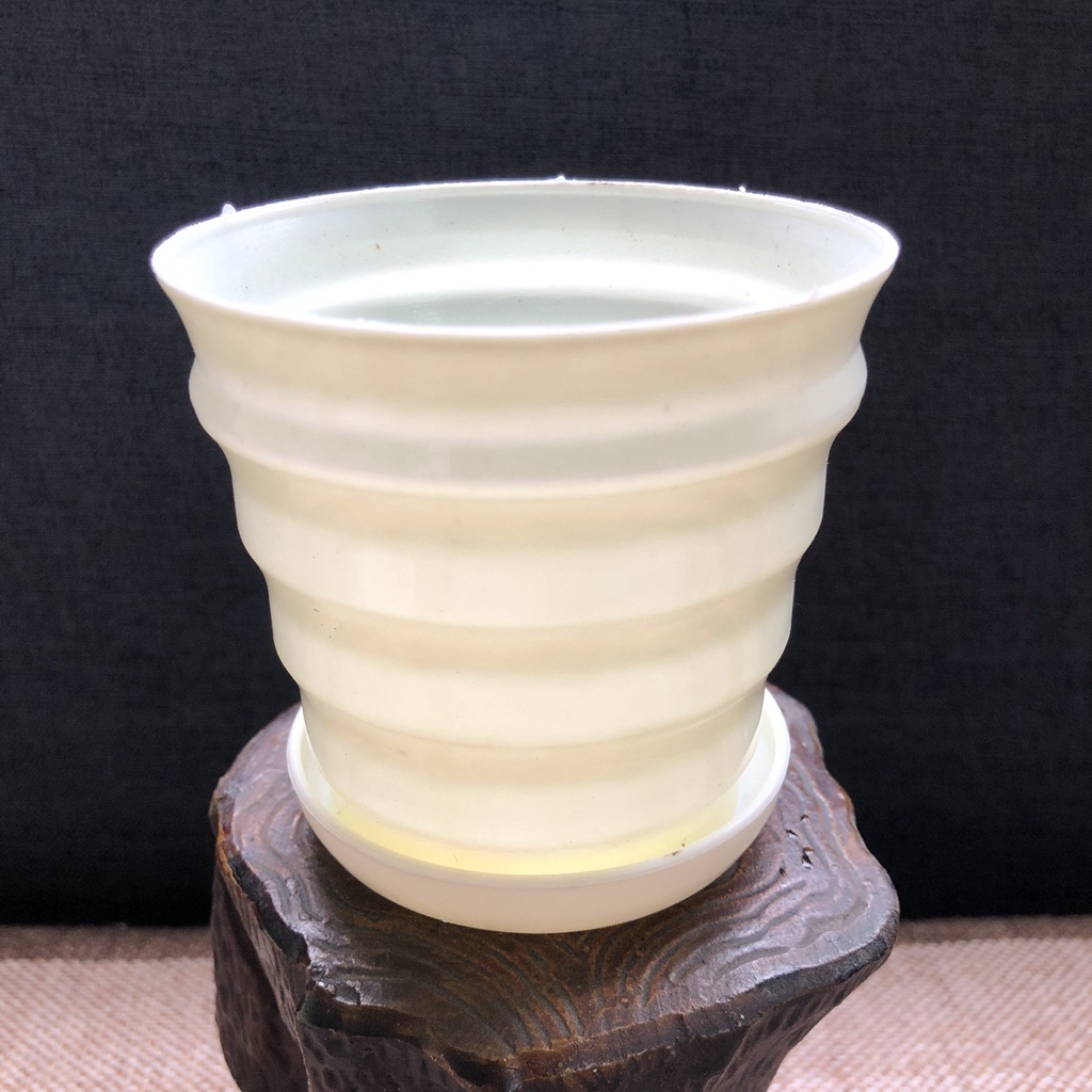 [9X8,8CM] CHẬU TRỒNG SEN ĐÁ HOA MINI ĐỂ BÀN CÓ ĐĨA LÓT BẰNG NHỰA NHIỀU MẦU
