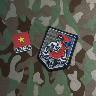 Patch ĐINH BỘ LĨNH
