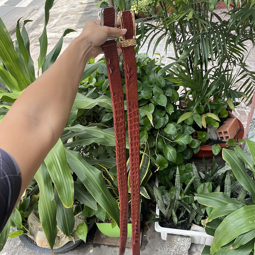 Dây Nịt Cá Sấu Thắt Lưng Nam Da Cá Sấu Liền Nguyên Con Không Nối Bản Rộng 3.8cm Màu Nâu Đỏ Full Hộp Bh 24 Tháng