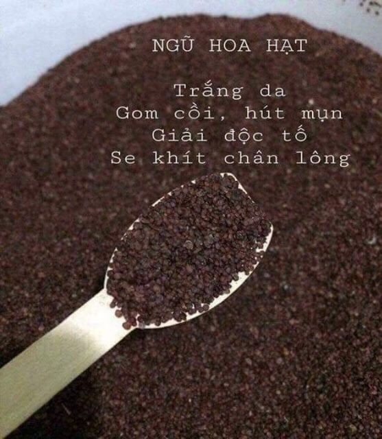 100gr hạt ngũ hoa/đình lịch/rong biển nguyên chất