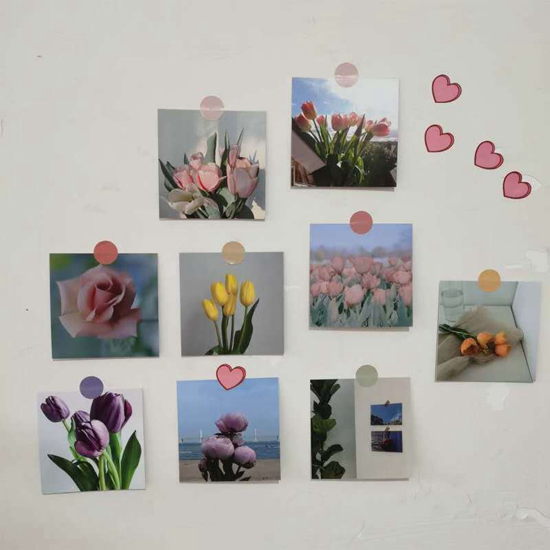 Bìa giấy in hình hoa tulip trang trí tường xinh xắn