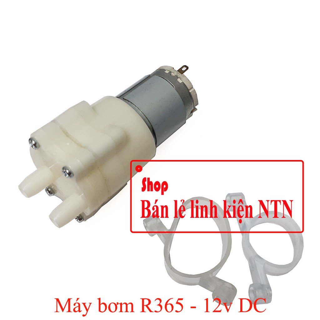 Máy bơm nước mini R365 12v DC