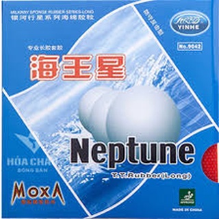 Mặt vợt bóng bàn gai dài Yinhe Neptune