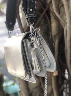 Túi xách mini đeo chéo màu bạc