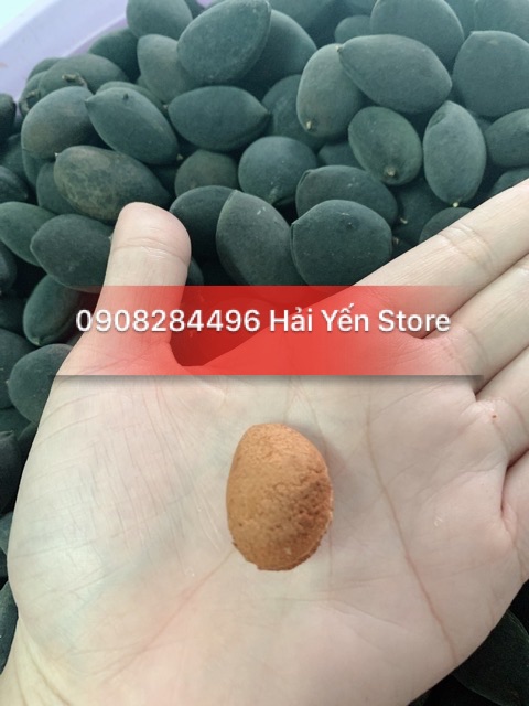 Trái xay voi to 1kg