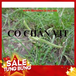 Combo 2 Kg Cỏ Chân Vịt Khô Loại 1 - Đông Y Thanh Bình