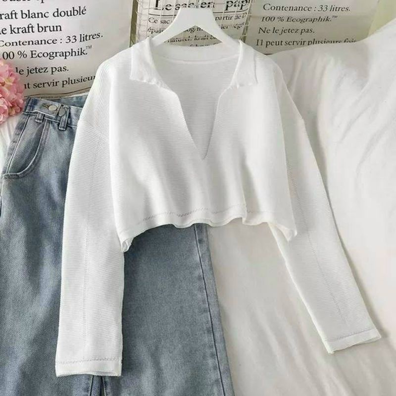 Áo thun phôm rộng Croptop Cổ V tay dài (A15)