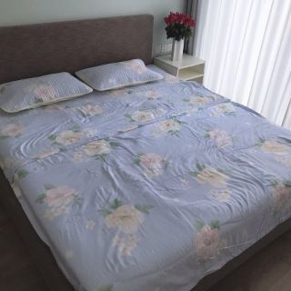Chiếu lụa điều hòa 2*2,2m