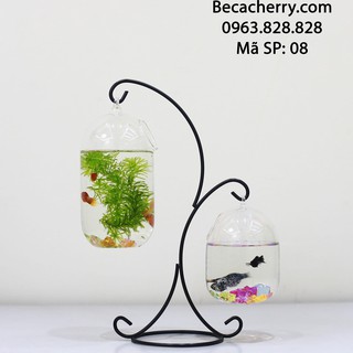 Bể Cá Mini Chữ X - 08 ( Tặng Kèm Phụ Kiện Trang Trí )