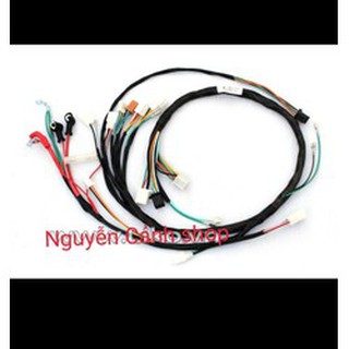Dây điện sườn xe future xe trung quốc