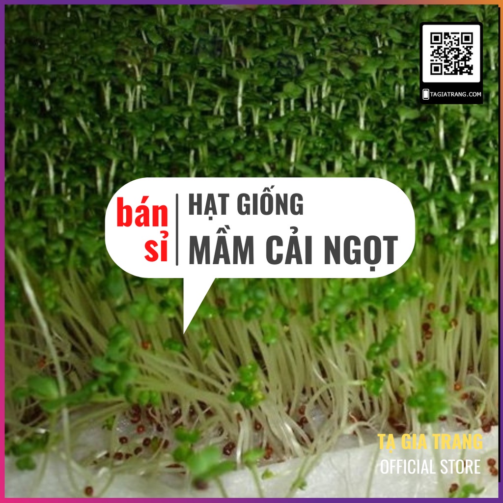 [Bán sỉ] - Hạt giống rau mầm cải ngọt - Gói 100g