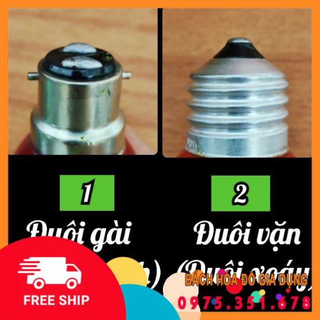 Bóng đèn sợi đốt tròn (trái chanh, cà na) Đuôi gài & xoáy E27-