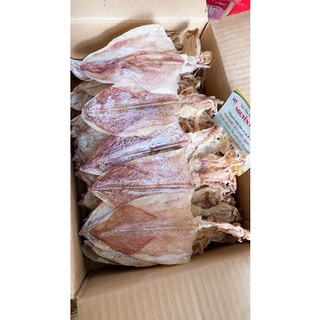 500gr MỰC KHÔ SIZE 30/35 CON KÍ