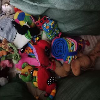 Gau bong của c gau bong si