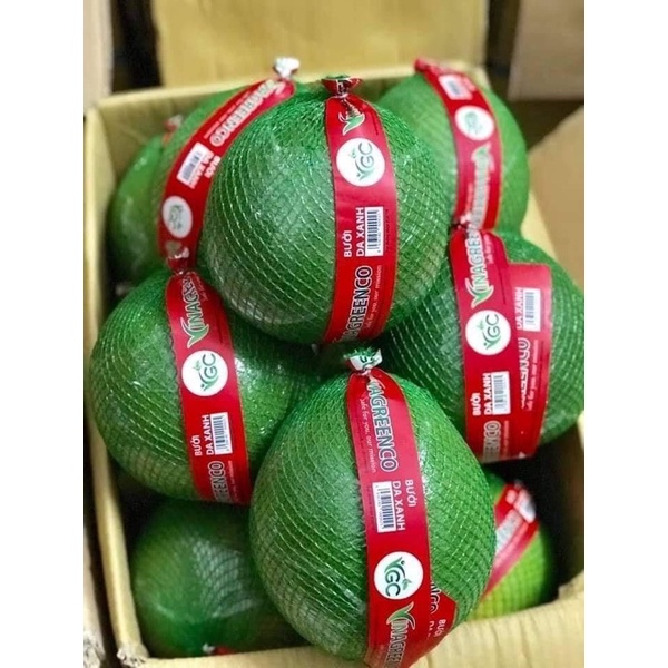 Bưởi da xanh Bến Tre