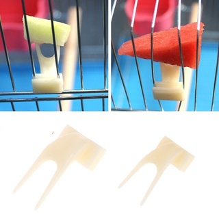 Set 5 Nĩa Ăn Trái Cây / Thức Ăn Gắn Lồng Chim Vẹt Bằng Nhựa