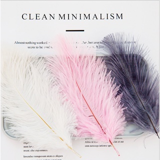 Lông vũ tự nhiên trang trí chụp ảnh mỹ phẩm, trang sức mềm mại