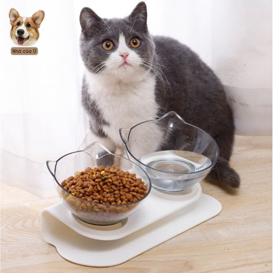 Bát Ăn Chó Mèo Chống Gù - Bát Ăn Chống Gù Trong Suốt Cho Thú Cưng