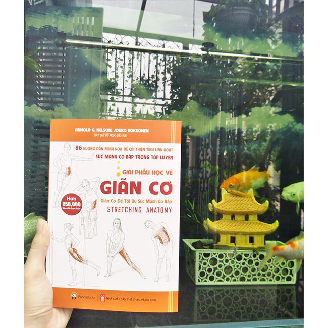 Sách - COMBO 3 cuốn - 26 giải chạy marathon + Chạy bộ để vượt qua + Giải phẫu học về giãn cơ - Pandabooks