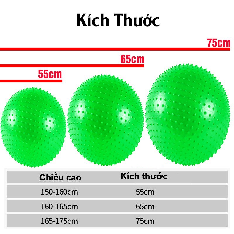 Bóng Tập Gym Có Gai 65cm (1000g) - Bóng tập thể dục, yoga và fitness chất lượng cao Đồ tập EvaYoga