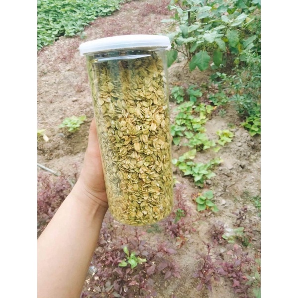 Yến sấy giòn vị Matcha Trà xanh hộp 500g