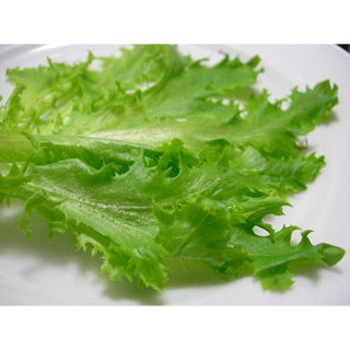 Hạt giống rau diếp thơm