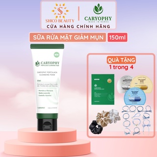 Sữa rửa mặt ngừa mụn Caryophy Portulaca Cleansing Foam 150ml