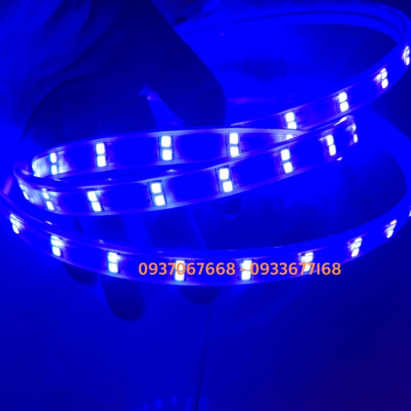 DÂY LED 2835 220V 2 HÀNG LED CHỐNG NƯỚC  - ĐÈN LED TRANG TRÍ NGÀY LỄ TẾT