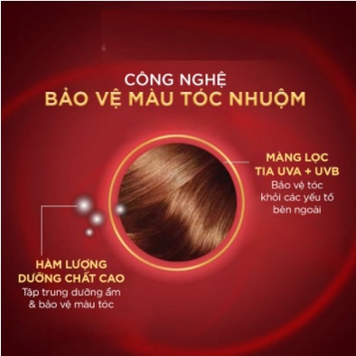 Dầu Gội Giữ Màu Cho Tóc Nhuộm - Elseve Protecting Shampoo (7 Weeks)