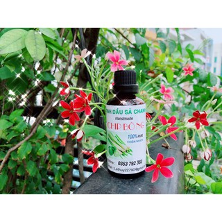 Tinh dầu sả chanh/ tinh dầu sả quế chip bông 50 ml
