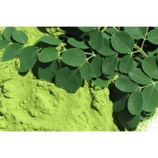 500gr bột chùm ngây hàng cao cấp
