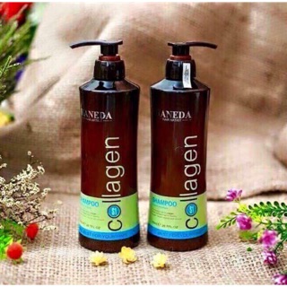 bộ dầu gội và dầu xả collagen haneda 800/1 chai