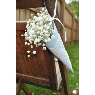 HẠT GIỐNG HOA BABY TRẮNG dễ trồng gói 50 Hạt