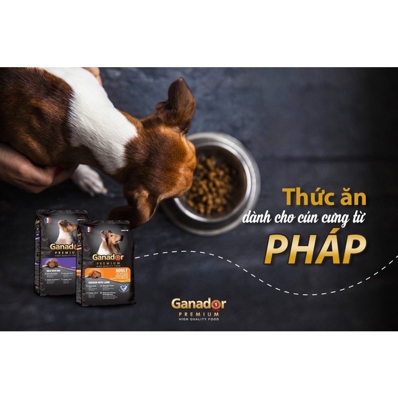 Thức ăn hạt cho chó Gói 400gr Thức ăn cho chó Ganador - FIB's - adult - puppy