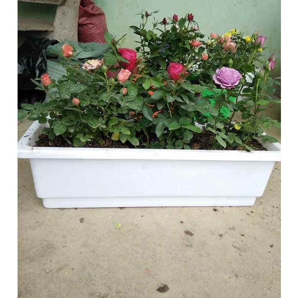 10 chậu dài thông minh trồng cây trồng hoa ban công 67*24*20