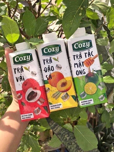Trà cozy thùng 24 hộp 225ml - vải, trà tắc mật ong, trà đào sả - Trà hoa quả uống liền