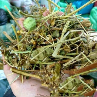Cây Nhãn Lồng khô (lạc tiên hay chùm bao) 1kg