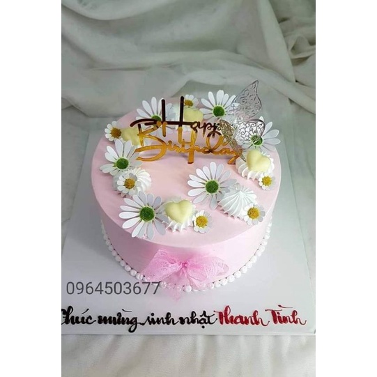 Túi 100 đầu bông cúc hoạ mi