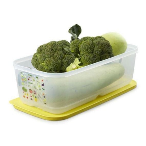 Hộp lẻ Ventsmart có nút hô hấp Tupperware (hộp lẻ) | WebRaoVat - webraovat.net.vn