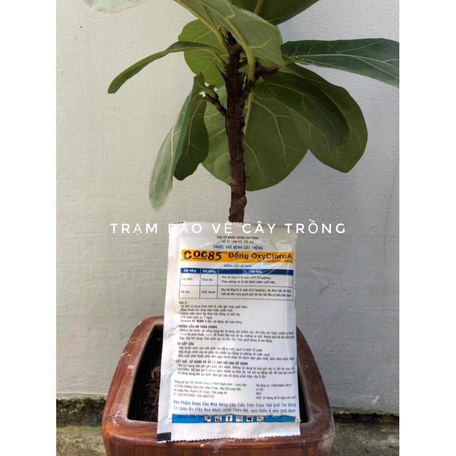 COC85 Chế phẩm trừ nấm & diệt vi khuẩn gốc đồng
