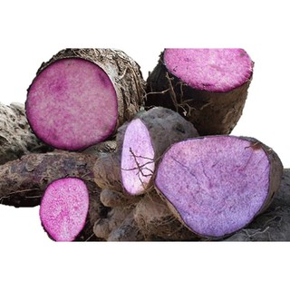 Củ khoai mỡ tím (5kg)