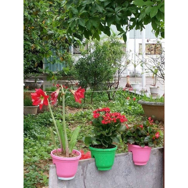 10 chậu kẹp lan can, hàng rào 16x13 cm có đĩa lót