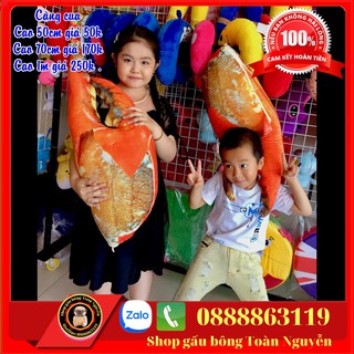 GẤU BÔNG CÀNG CUA 3D GỐI ÔM NHỒI BÔNG CHẤT VẢI NHUNG MỊN SIZE 50-1M
