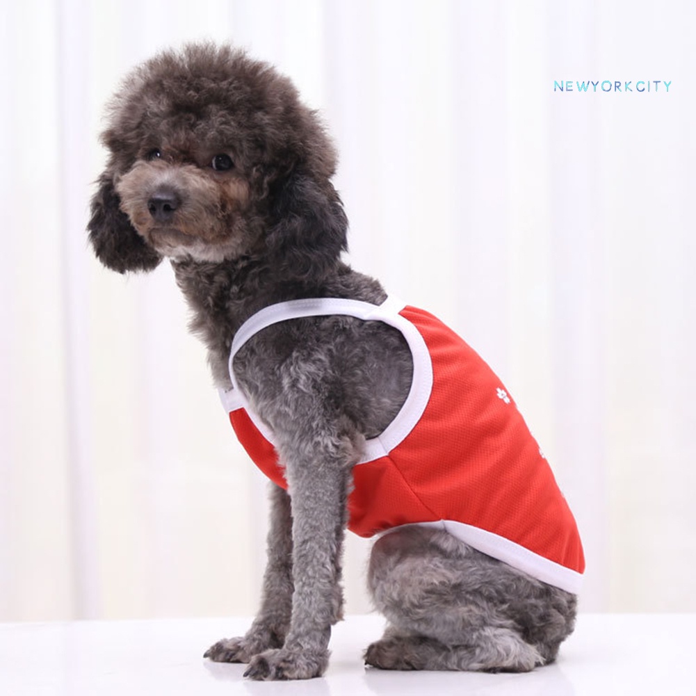 Áo Hai Dây Sát Nách In Hình Quả Bơ Khủng Long Dễ Thương Cho Cún Cưng