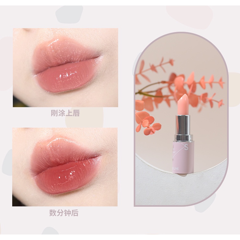 Son dưỡng môi HOLD LIVE chứa vitamin Vaseline nuôi dưỡng giảm nếp nhăn