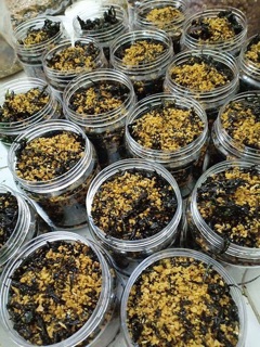 RONG BIỂN CHÁY TỎI MÈ
